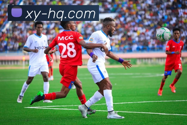 爱游戏平台生态图